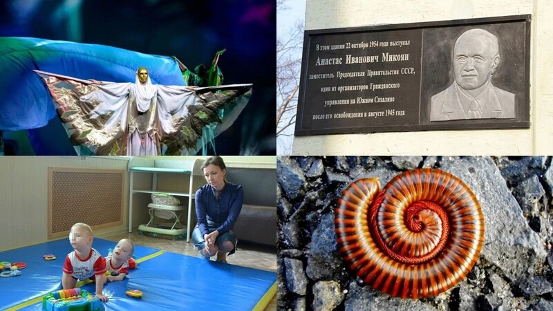 Главные события 2017 года: фестиваль кукольников, слепая многоножка и Анастас Микоян