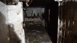 «Сильный запах сырости»: состояние подвала обеспокоило жителей Южно-Сахалинска