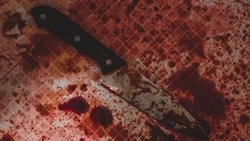 Мужчина в наркотическом угаре ударил приятеля ножом в грудь на Сахалине