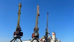 Экспорт рыбы и морепродуктов с Сахалина и из Приморья вырос в 1,6 раза за неделю