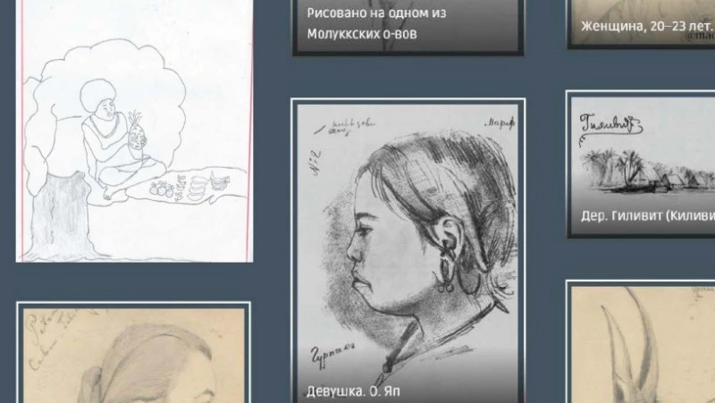 Фонд Миклухо-Маклая запустил обновленный онлайн-музей с более чем 200 экспонатами из Океании