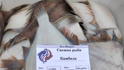 Свежую рыбу по низким ценам привезли жителям 8 районов Сахалинской области 8 декабря 