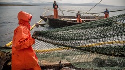 Ученые ВНИРО установили сроки: рыбаки-любители начнут путину в мае на Сахалине