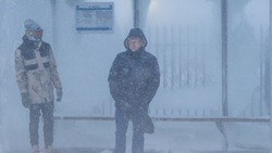 Утренние рейсы автобусов в Синегорск и Санаторное временно отменили