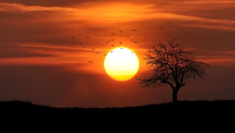 Магнитные бури в декабре 2022 года на Сахалине: опасные дни и что нельзя делать