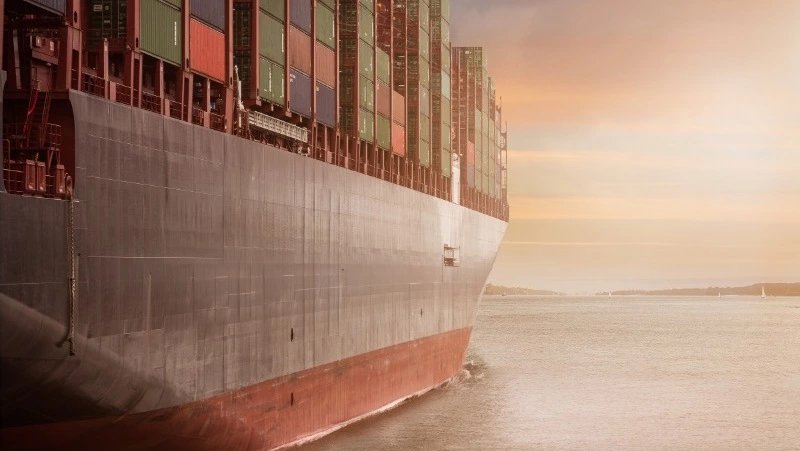 Спрос в сфере транспорта и логистики вырос на 264 % в регионах ДФО