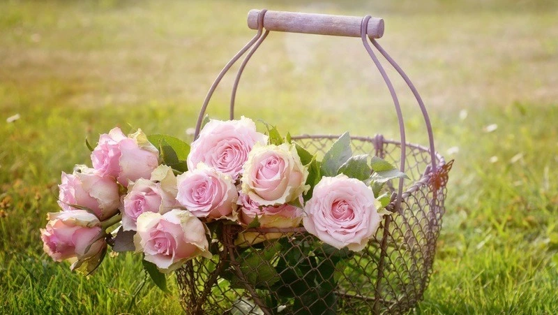 «Это не просто профессия»: мэр Невельска пожелал учителям воспитать новые таланты