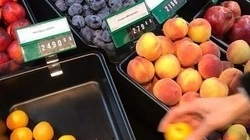 Гастрофестивали, выставки и ярмарки будут устраивать в новом агропарке на Сахалине