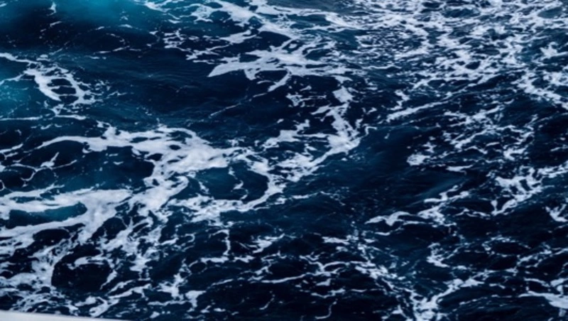 Владимир Путин заявил о большом числе желающих войти в проект «Сахалин-2»