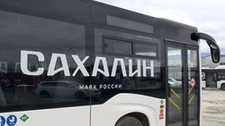 В Южно-Сахалинске 25 пассажирских автобусов украсили стилизованным логотипом