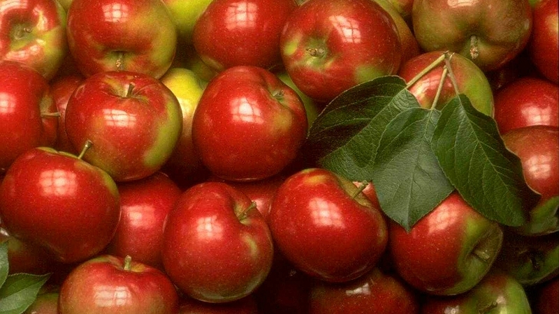 На Сахалине в 2016 году уничтожили 2 тонны санкционных продуктов