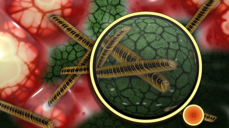 Учеников школы №13 в Южно-Сахалинске распустили по домам из-за кишечной инфекции