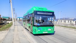 Прямые рейсы автобусов свяжут Южно-Сахалинск со Смирных и селом Чехов