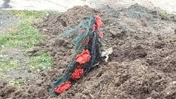 Землю с кладбища рассыпали под окнами жилого дома в Долинске