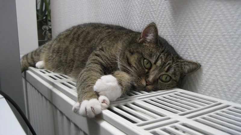 Отопление пришло в 1024 жилых дома Южно-Сахалинска 4 октября