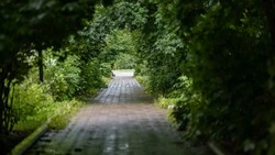 Дожди и похолодание спрогнозировали синоптики в Сахалинской области 30 августа 