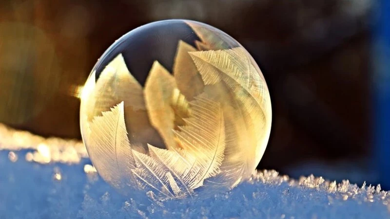 Сегодня на Сахалине и Курилах. Анонсы событий 25 декабря