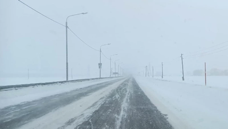 Windy: полметра снега может выпасть на Сахалине в начале октября