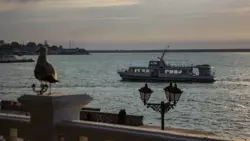 Для туристов в отелях Севастополя ввели новые правила из-за коронавируса