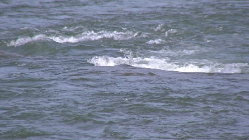 Тело 29-летней девушки нашли на берегу озера Айнское в Томаринском районе