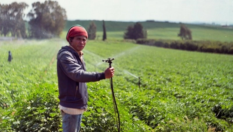 Полиция устроила рейд по местам работы мигрантов в Сахалинской области