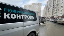 «Губернаторский контроль» выявил проблемы с уборкой снега в Южно-Сахалинске