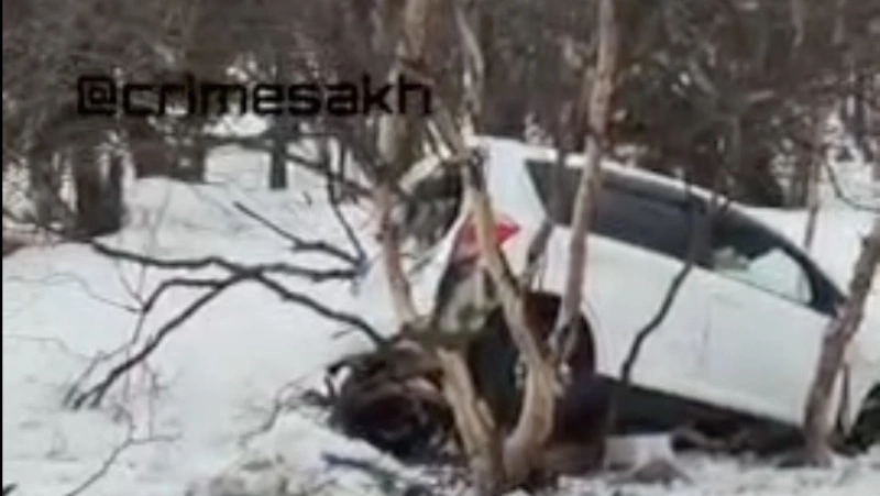 Пьяный водитель Toyota на полном ходу влетел в березки в Долинском районе