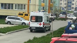 Полиция проверит хозяина доберманов после утреннего конфликта в Южно-Сахалинске