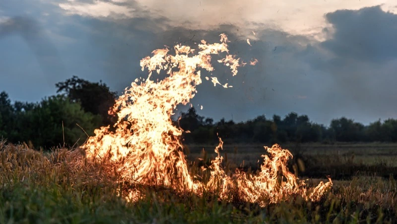 Сухая трава вспыхнула в Анивском районе вечером 31 октября 