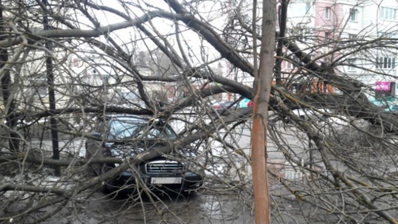 Холмский суд взыскал с местной администрации 340 тысяч рублей за испорченный автомобиль горожанина