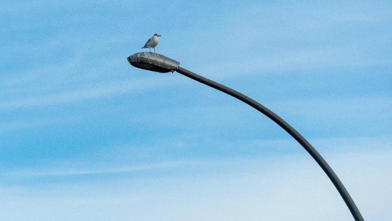 Прокуратура Сахалинской области помогла улучшить дороги и освещение в Первомайске
