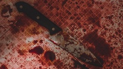 Женщина ударила сожителя ножом в живот из-за ревности к сестре в Корсакове