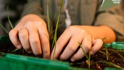 Сахалин инвестирует в светлые умы: как в регионе со школьной скамьи взращивают агроспециалистов 