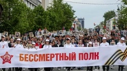 Акция «Бессмертный полк» в 2026 году пройдет в очном и онлайн-форматах 