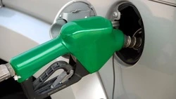 Военнослужащие в России получат компенсацию за использование личного авто в командировках и отпусках