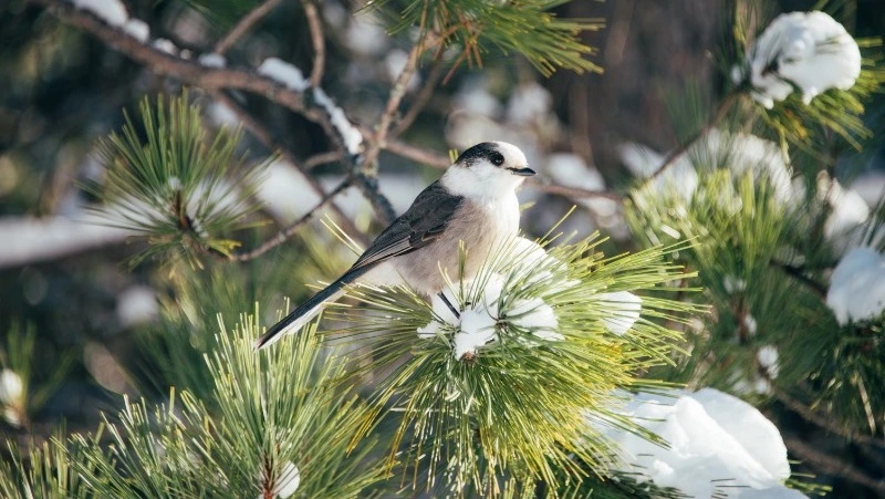 Народные приметы на 11 декабря 2023: что нельзя делать в этот день