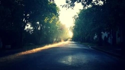 Солнце и тепло накроют Сахалин: самый точный прогноз погоды на 26 мая