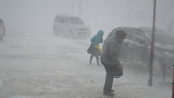 Штормовой ветер и метель накроют Северо-Курильск. МЧС предупреждает о буре