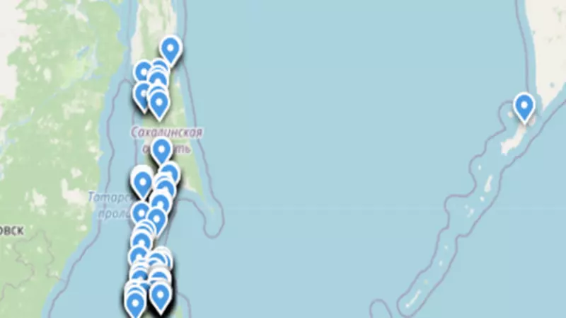 Онлайн-путеводитель покажет сахалинцам магазины с самыми дешевыми продуктами