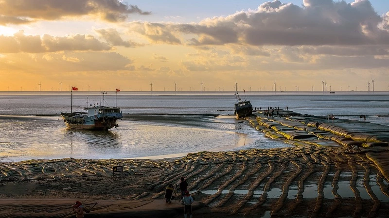Власти Сахалина раскрыли, как будут устранять разлив мазута