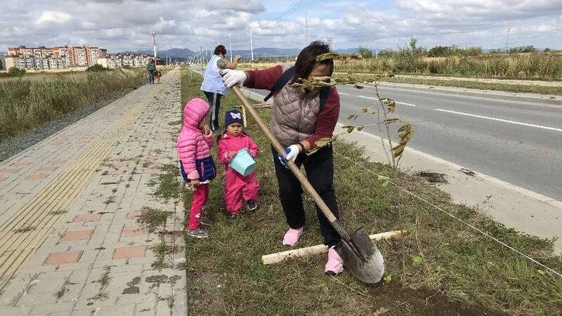 В Новотроицком ветераны ВОВ высадили рябиновую аллею