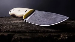 Сахалинка зарезала любовника, который только вышел из колонии