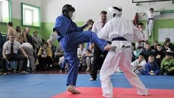 Томари принял областной турнир по кудо