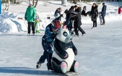 Южносахалинцы пожаловались мэру на неровный лед на катке в горпарке