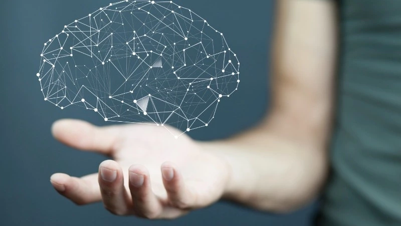 Тест на IQ. Проверь свой интеллект, ответив всего на 6 вопросов