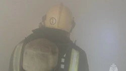 Пожарные потушили баню в Южно-Сахалинске поздно вечером 19 мая