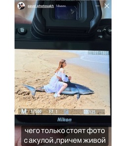 Сахалинка, которая снялась в фотосессии на забитой акуле, жестко ответила хейтерам 