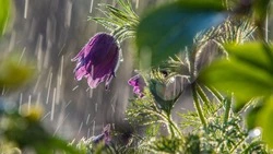 Церковный праздник 2 мая 2025: что нельзя делать в этот день, приметы