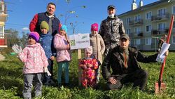 Рябиновая аллея появилась в селе Новотроицком на юге Сахалина