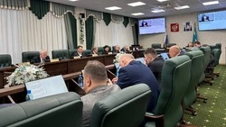 Взвешенные меры: сахалинские депутаты приняли новый закон по отлову и содержанию бездомных псов